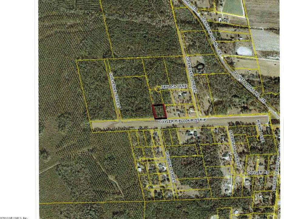 Lot 4 Cuyler Air Field01302013_0000
