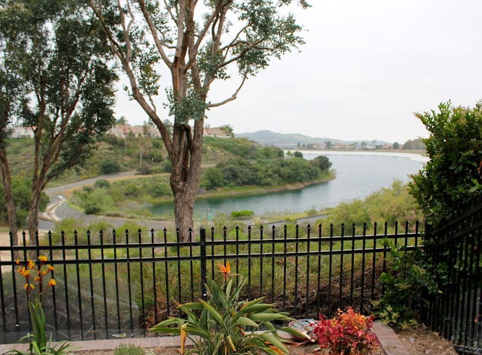 View from backyard
