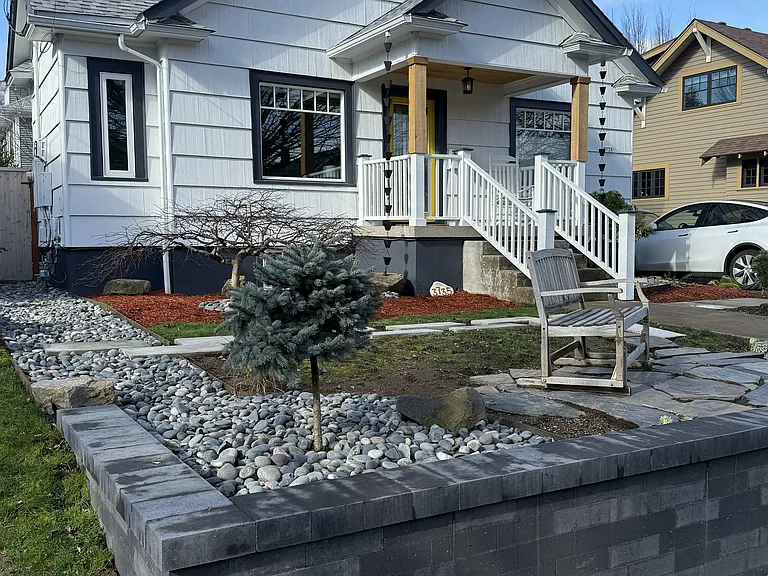Front Yard