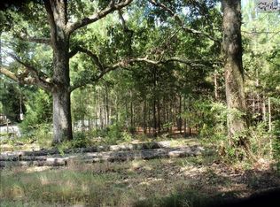 518 Chapin Rd, Chapin, SC 29036