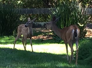 8 Timothy Ct, Novato, CA 94949