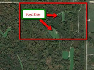 80 Acres Highwood Rd, Gladwin, MI 48624
