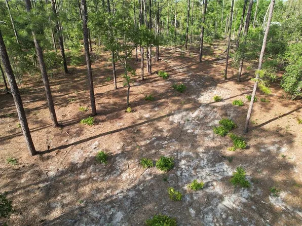 SE 148th Ct Lot 10, Morriston, FL 32668