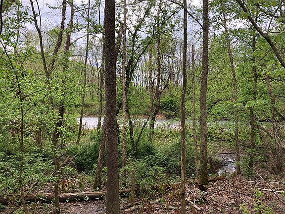 View from front window