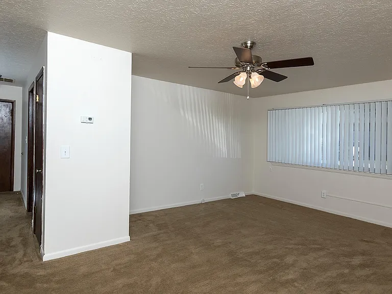Living Area/Kitchen