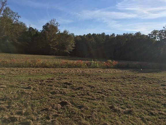 3rd image of 530 Lee Road 148