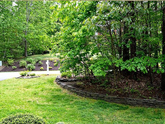 View from Front Door