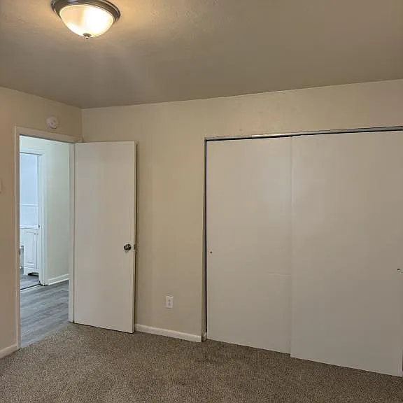 1200 Rugby St #7 — Photo 5
