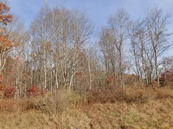 Morris Branch Rd, Meadow Bridge, WV 25976