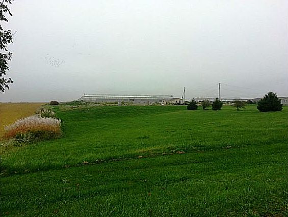 4th image of 8802 S 52nd Ave W