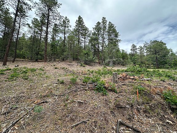 4th image of 19 Brazos Ests