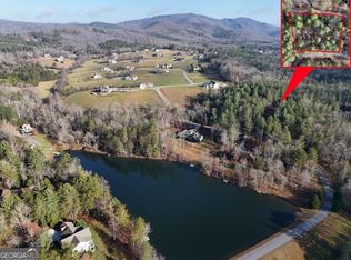 20 Fox Lake Rd, Blairsville, GA 30512