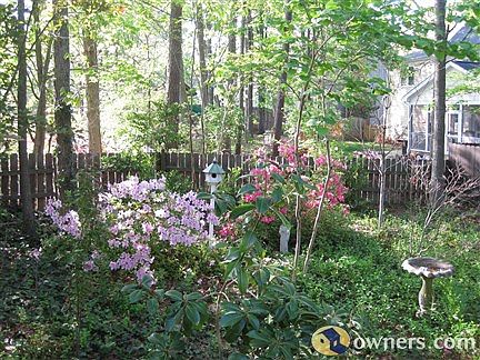 Backyard in spring bloom