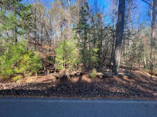 885 Matrix Ln, Ellijay, GA 30540