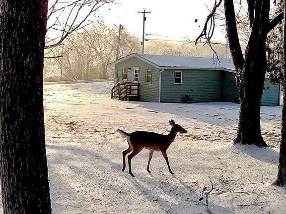 2nd image of 8649 Taliaferro Rd