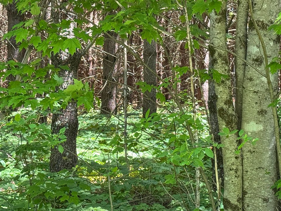 1st image of lot 23 Mountain View Lane