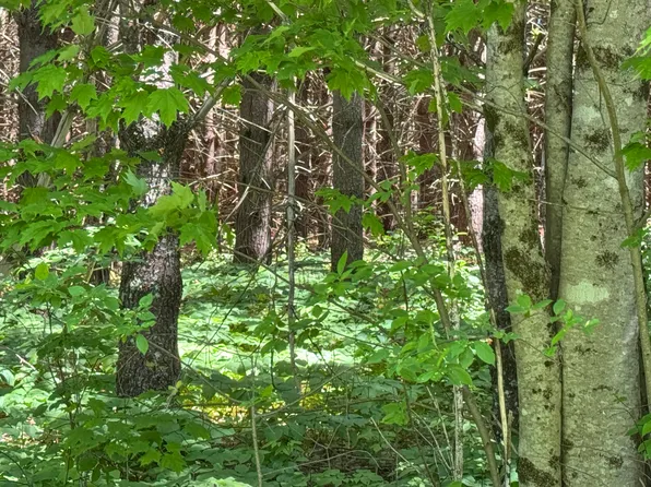 lot 23 Mountain View Lane, Hope, ME 04847