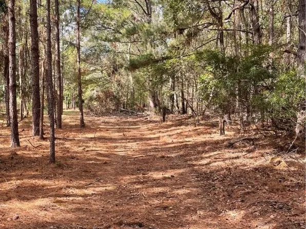 0 LEOLA Road, Newington, GA 30446