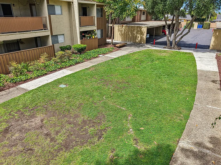 Sundale — Photo 11