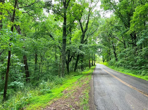 31869 Moravian Trail Rd, Tippecanoe, OH 44699