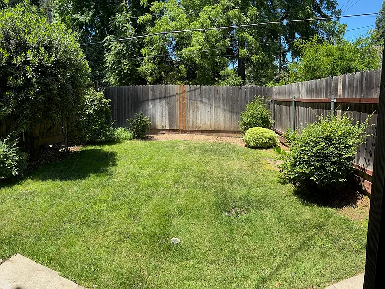 Shared Backyard