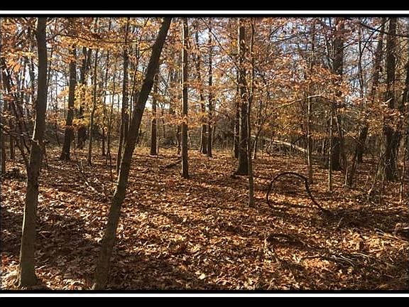 5th image of 1616 Hogback Rd