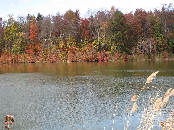 Side with pond views