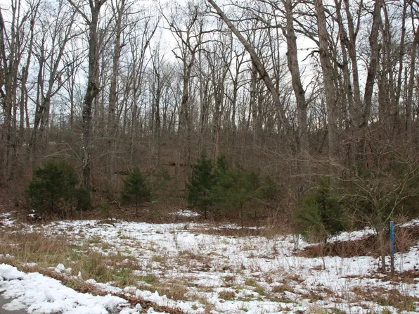 LOT 34 Elly Ln, Flippin, AR 72634