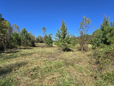 0 Fox Bridge Rd, Chatsworth, GA, 30705