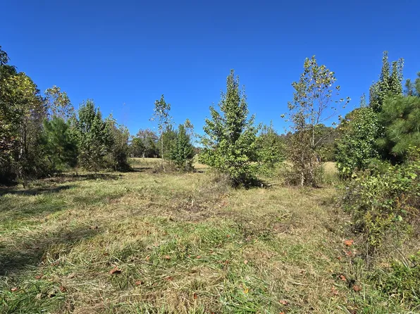 0 Fox Bridge Rd, Chatsworth, GA 30705