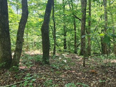 0 Redbud Rd, Sugar Tree, TN, 38380