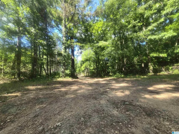 135 Big Chief Rd, Ohatchee, AL 36271