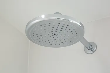 Rented by Bold New York