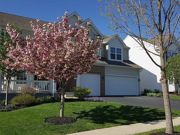 2nd image of 1379 Palay Dr