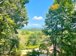101 Hanlon Mountain Rd, Leicester, NC 28748