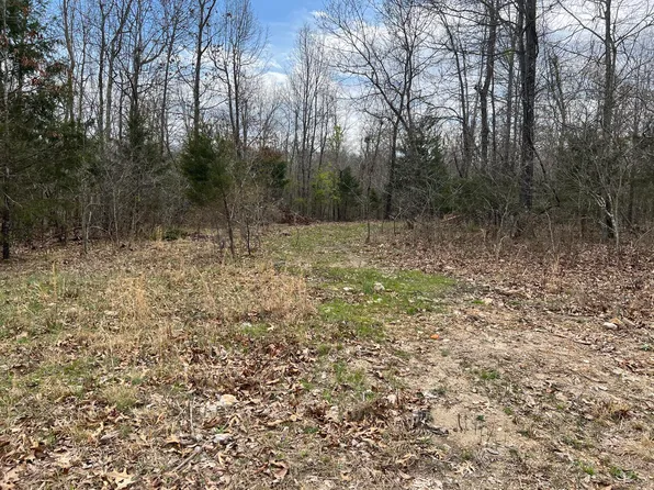 Lot 10 Pr Off 359, Thayer, MO 65791