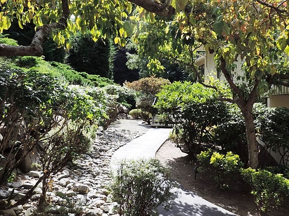 stroll along the path in the yard