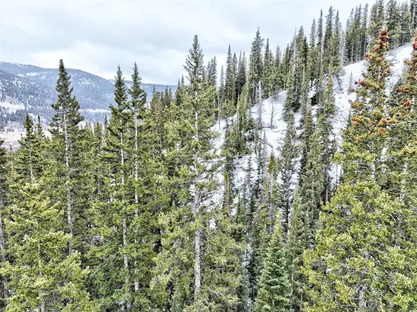 170 Ute Trl, Alma, CO 80420