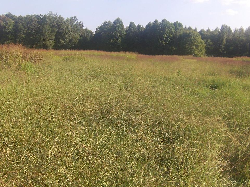 2nd image of 11111 County Road 52