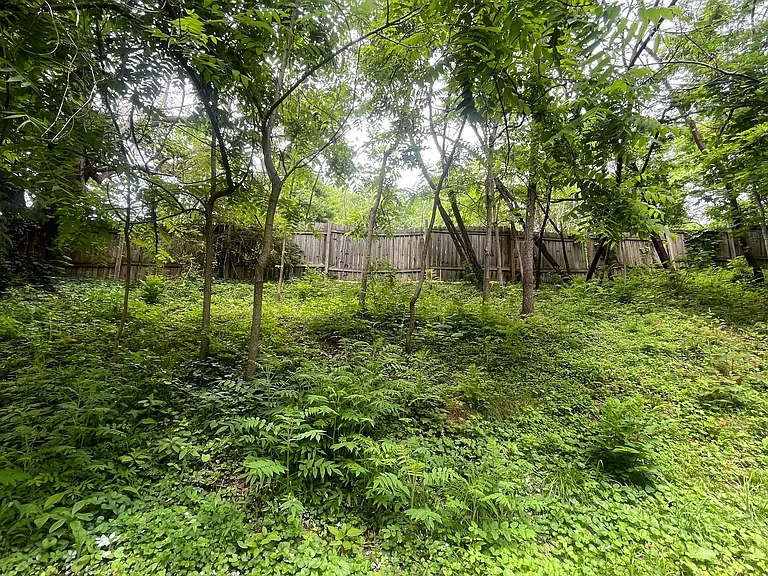 209 Cemetary Ln — Photo 8