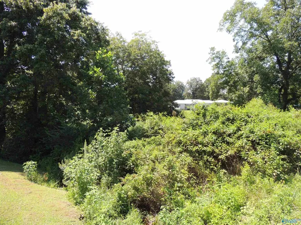 51 Gaines St, Crossville, AL 35962