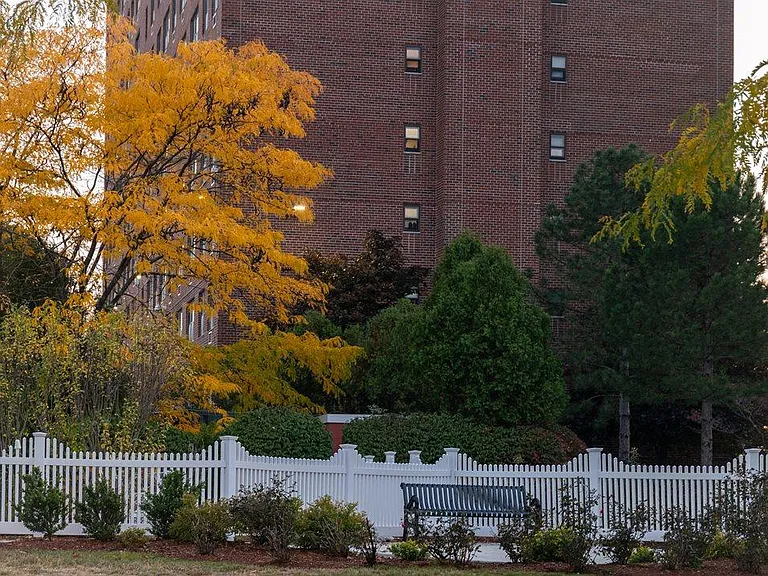 Fresh Pond Apartments — Photo 10