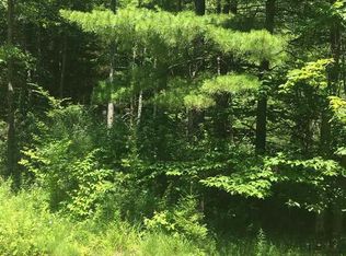 44 Lincoln Mountain Rd, Greenfield Center, NY 12833