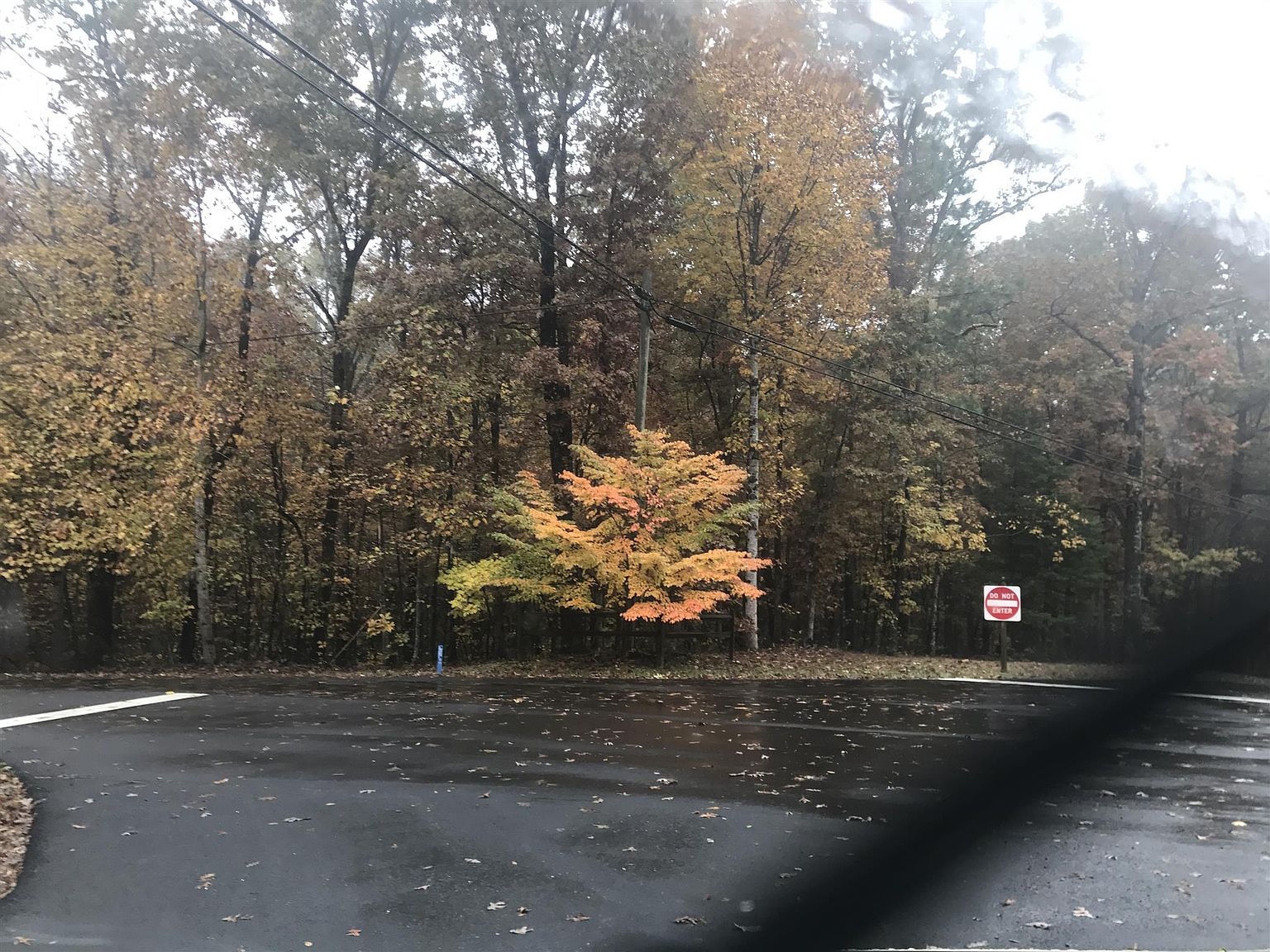 2461 Clifftops Ave, Monteagle, TN 37356 Zillow