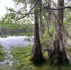 SW Tower Rd, Lee, FL, 32059