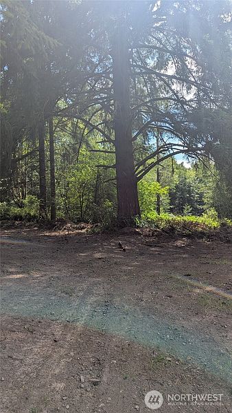 5th image of 196 Jensen Road
