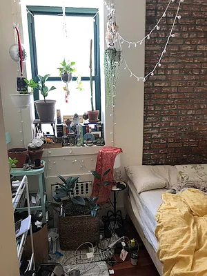 Rented by Nooklyn NYC LLC | media 12