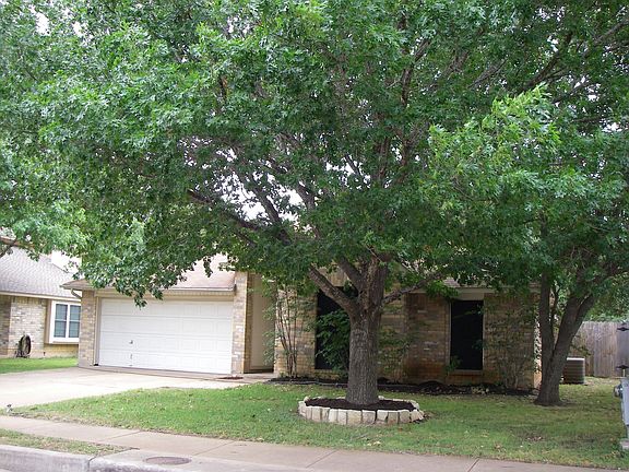 shade trees front and back