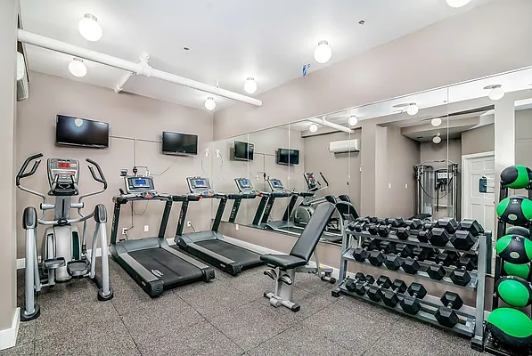 Rented by Gold-Stone Realty | media 21