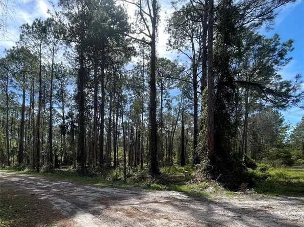 107 Rosewood St Lot 17, Georgetown, FL 32139
